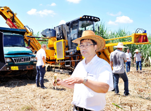 “鐵?！薄翱小备收?#x3000;“吸睛”又“吸粉”　柳工農機公司甘蔗生產全程機械化產品受追捧