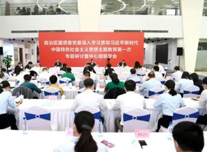 推動主題教育走深走實 | 自治區國資委黨委與柳工集團黨委組織開展聯學