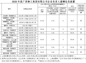 2020年度廣西柳工集團有限公司企業負責人薪酬信息披露