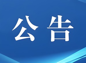 柳工公布2025年上半年業(yè)績：凈利潤12.3億元，同比增長25.05%
