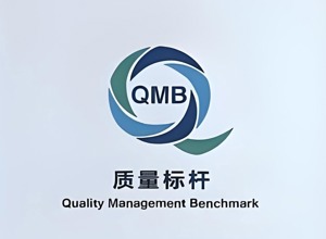 柳工質量管理模式獲評全國“2025年質量標桿典型經驗”